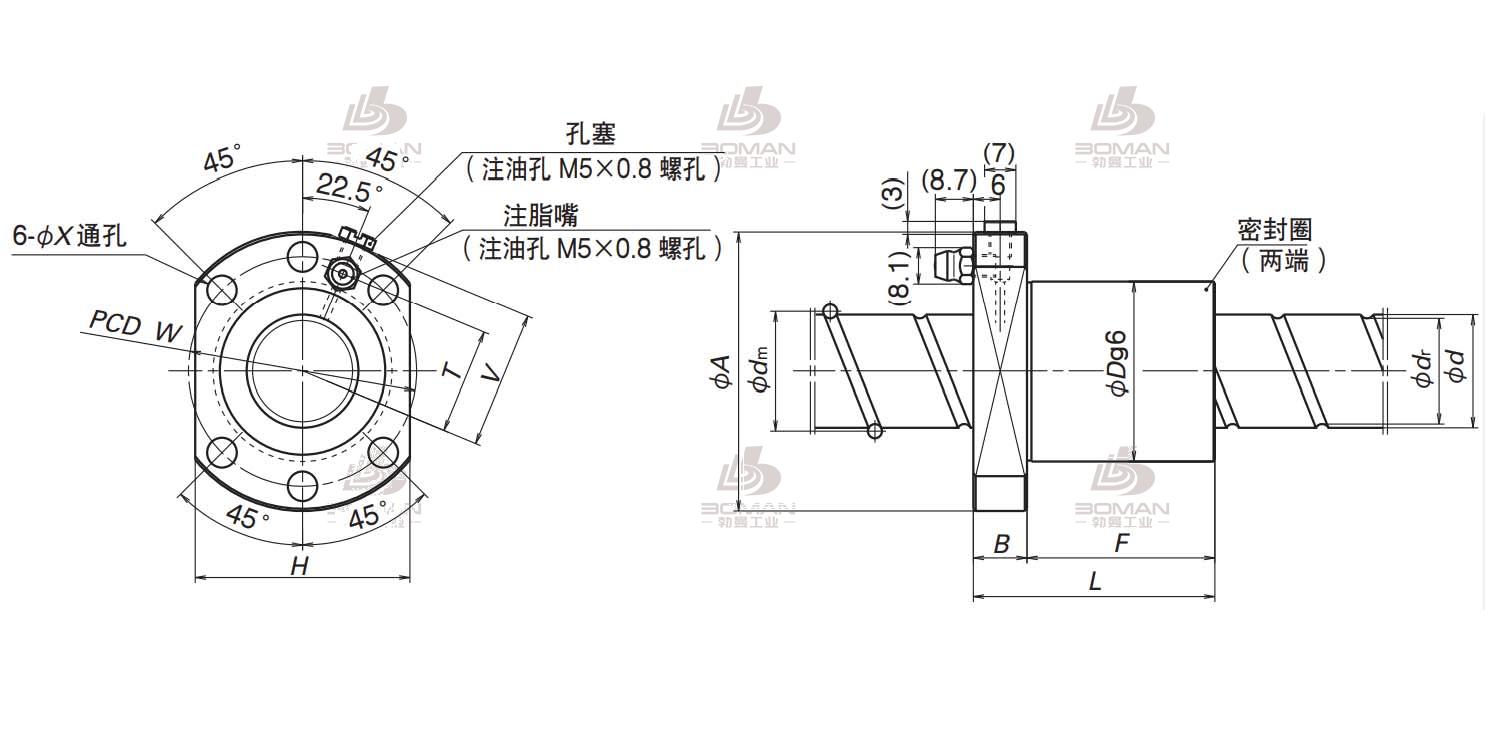 BSS2510-4E-1101C5(按图纸加工)-BSS标准螺母