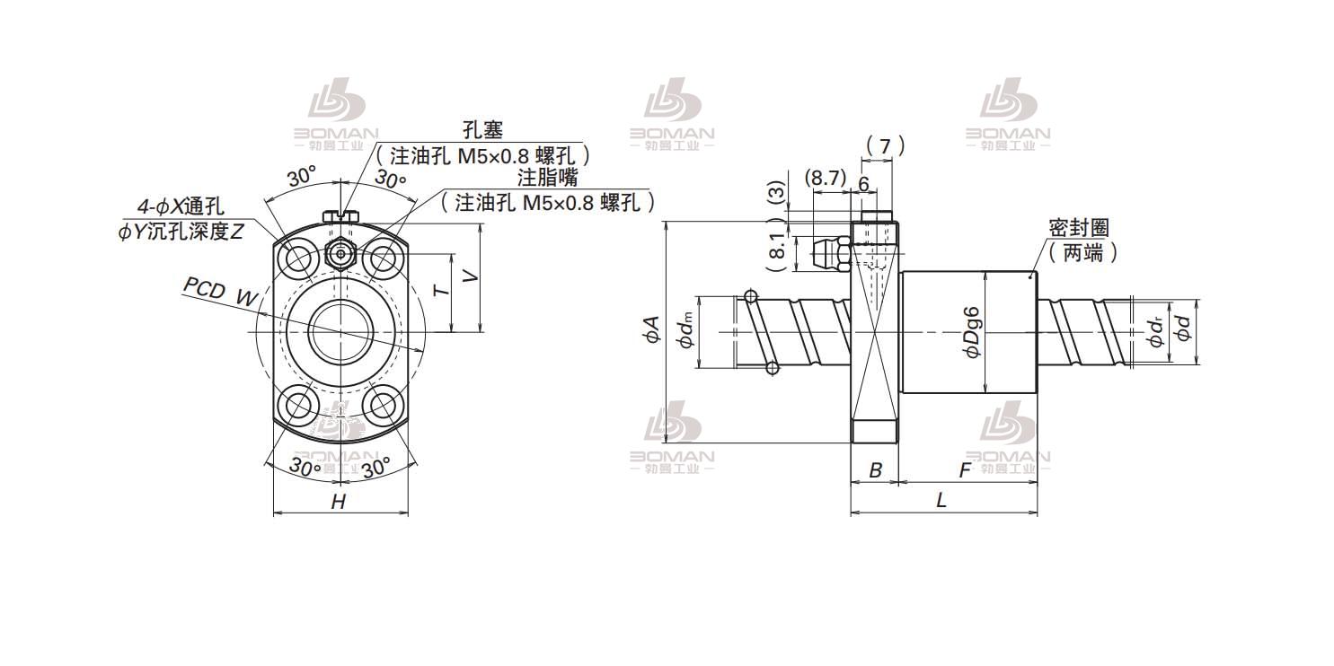 BSS1510-3E-BSS标准系列丝杠