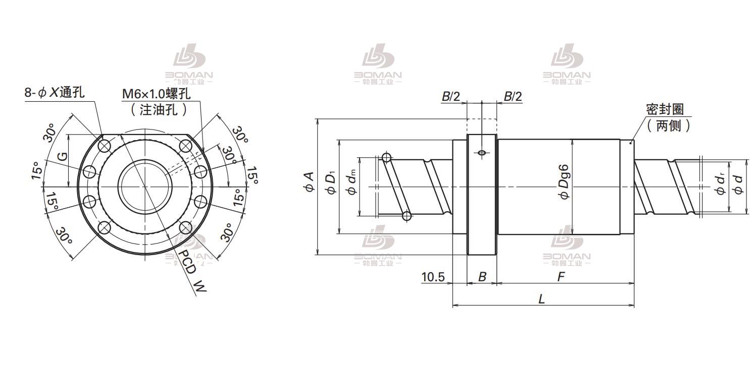 BSS3612-6E-BSS滚珠丝杠螺母