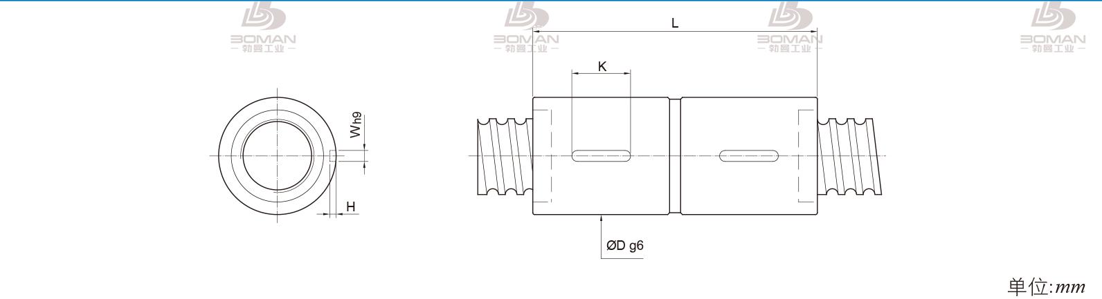 PMI RDIC6306-6 pmi滚珠丝杠型号